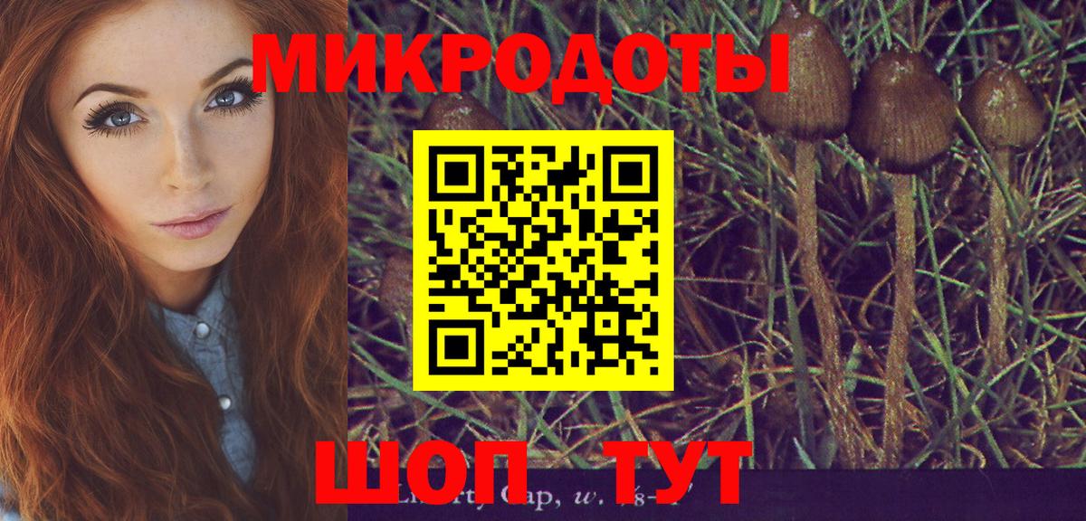 продажа наркотиков  Галлюциногенные грибы мухоморы  Вход с VPN  Псилоцибиновые грибы мицелий  Избербаш 